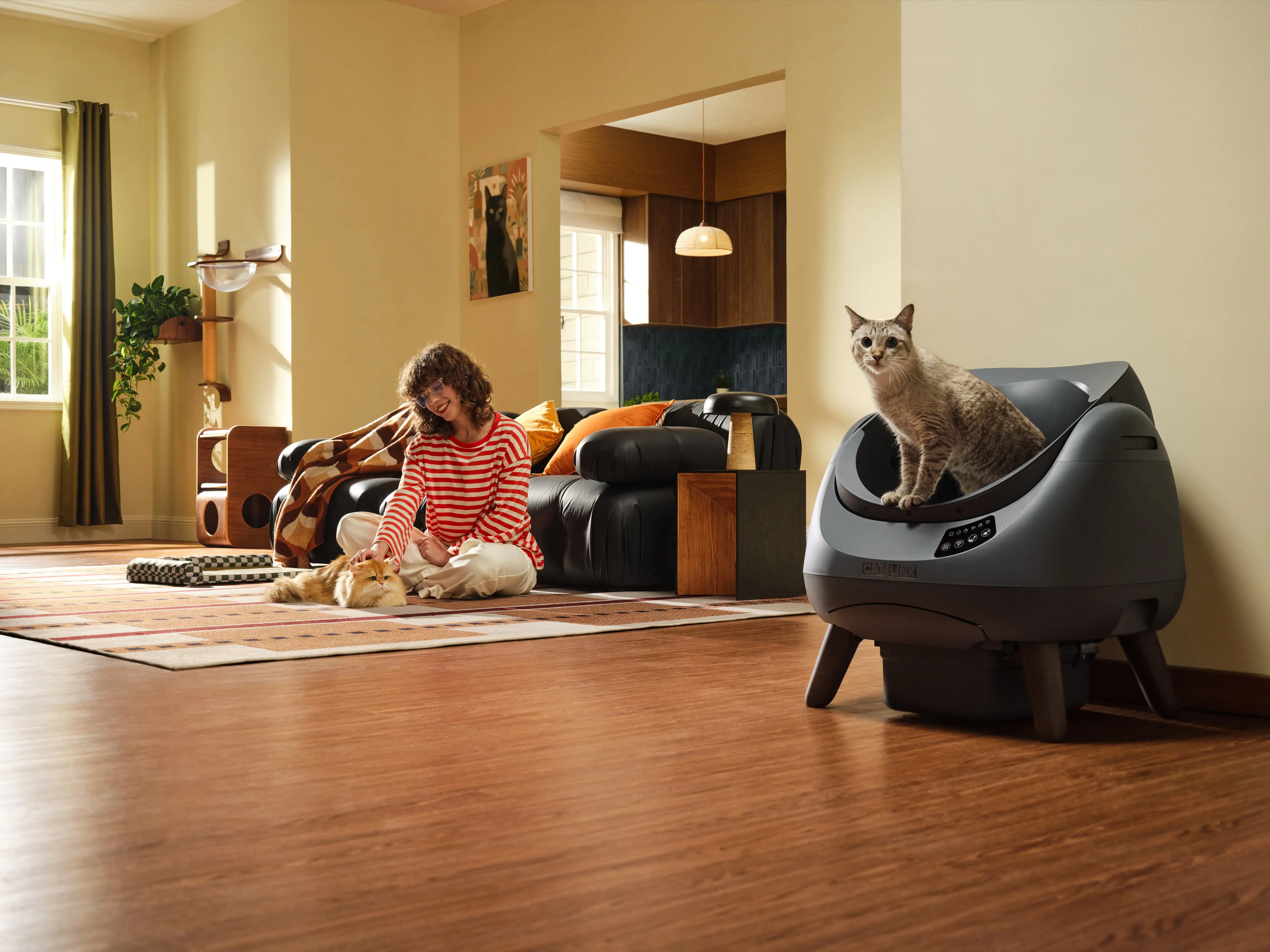 Smart Care, Happier Cats